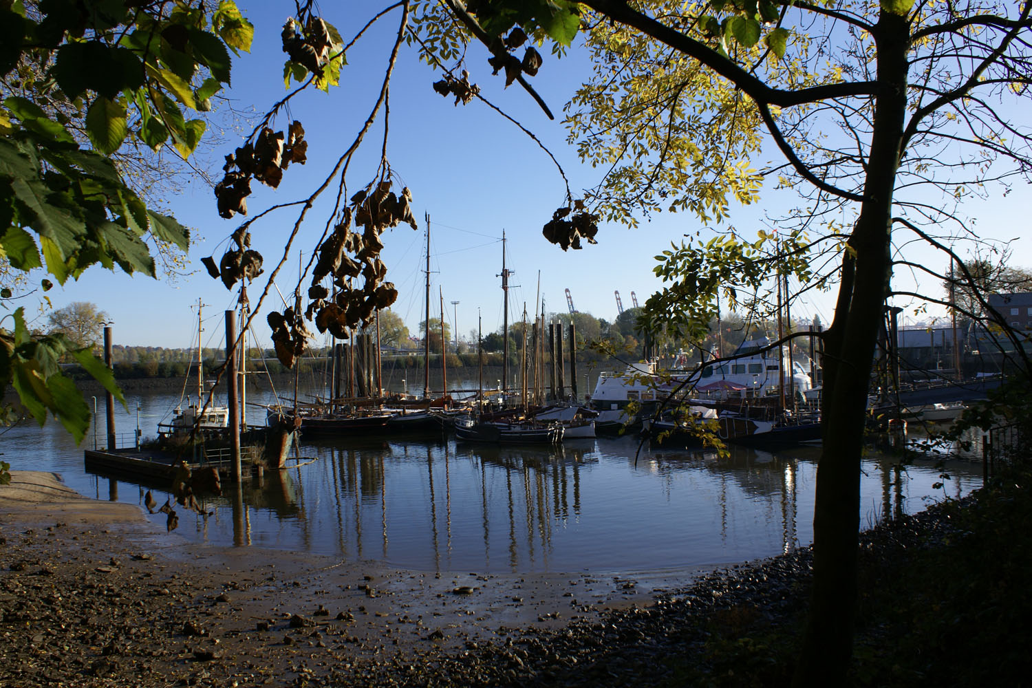 Finkenwerder Traditionsschiffe Hafen  - 7