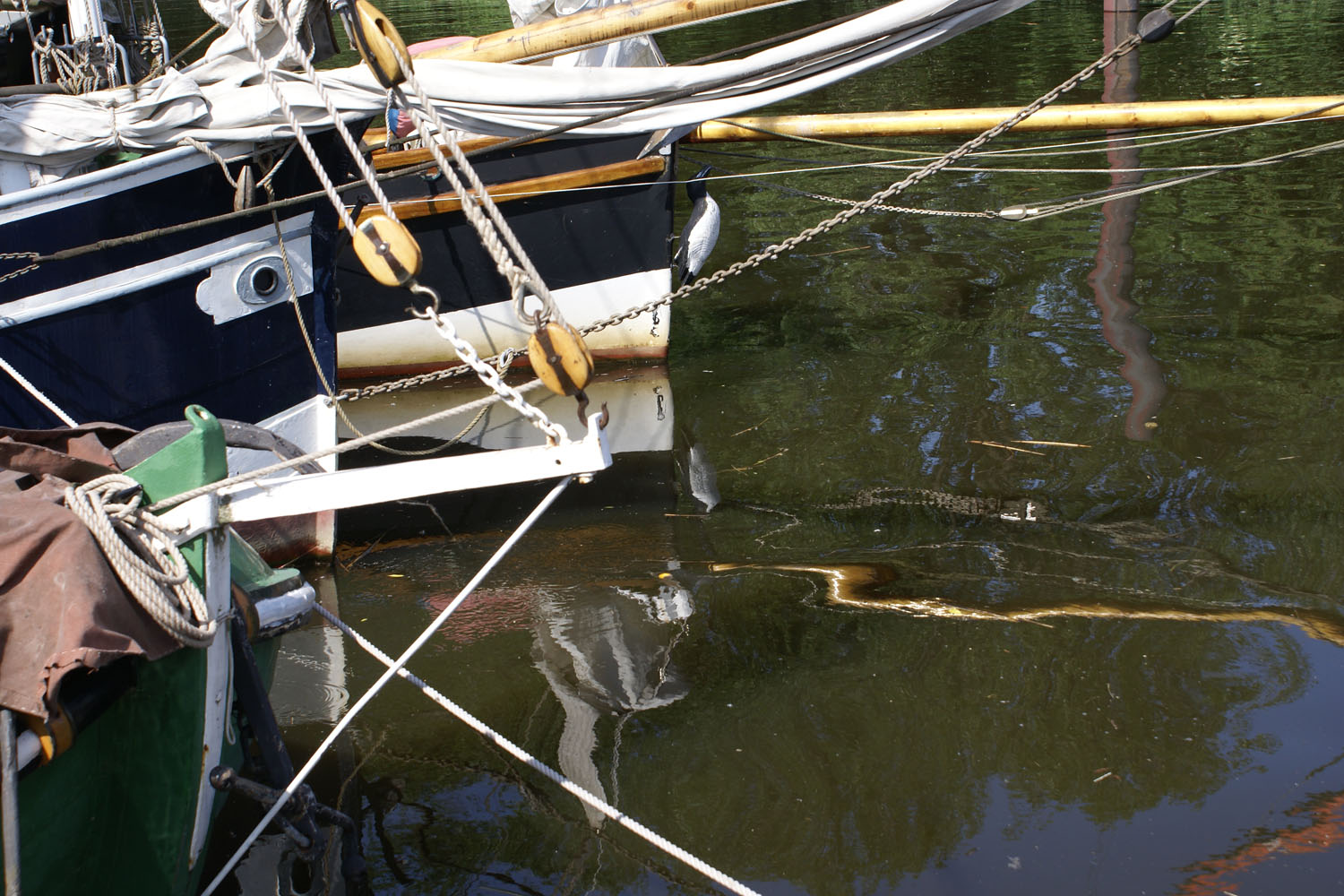 Finkenwerder Traditionsschiffe Hafen  - 2